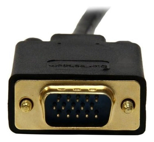 Startech.com Cable Displayport 1.2 Macho - Vga D-sub Macho