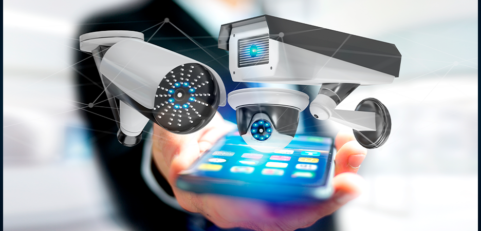 Seguridad y Vigilancia
