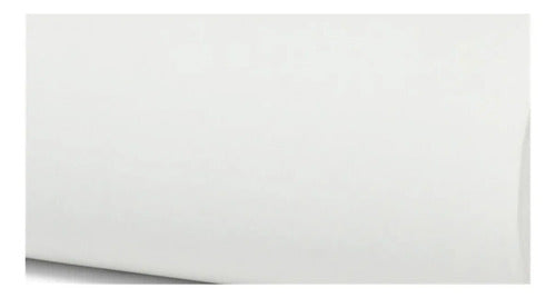Rollos Papel Térmico Zebra 10021232 80mm Caja 50 Pzas Zq320 Blanco