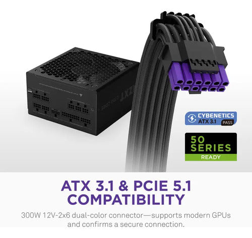 Fuente De Poder Nzxt C750 Gold Core Modular 80+ Gold Negro Negro