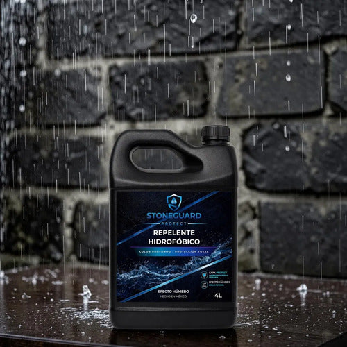 Sellador Hidrofugante 4l Repelent Agua Anti-musgo Stoneguard