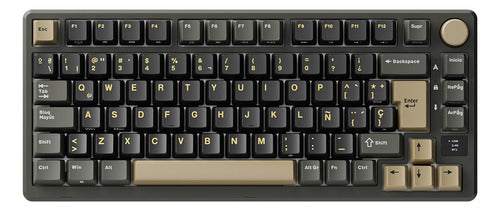 España Teclado Mecánico Inalámbrico Rk Royal Kludge M75 Negro Español Latinoamérica