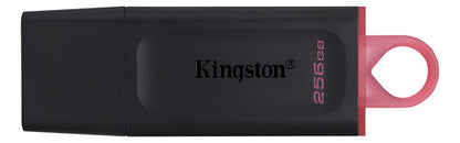 Memoria Usb Kingston Datatraveler Exodia, 256gb Usb A Negro