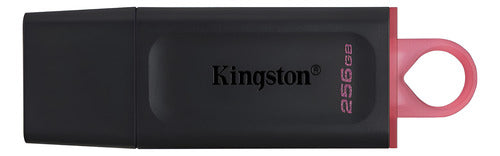 Memoria Usb Kingston Datatraveler Exodia, 256gb Usb A Negro