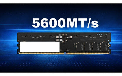 Memoria Ram Adata Ad5u560016g-s Ddr5, 5600mhz, 16gb, Cl46