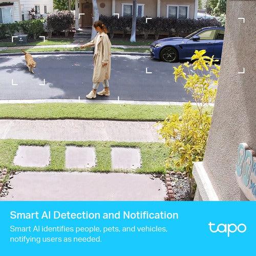 2 Camaras Vigilancia Wifi Tp-link Tapo C420s2 2k Qhd Exterio