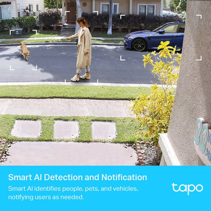 2 Camaras Vigilancia Wifi Tp-link Tapo C420s2 2k Qhd Exterio