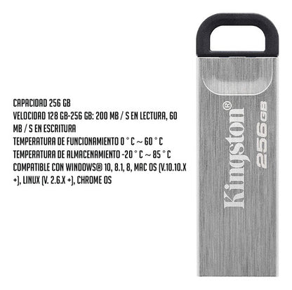 Memoria Usb Kingston Datatraveler 256gb Usb A 3.2 200mb/s