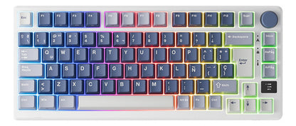 Teclado Mecánico Rk Royal Kludge Hot Swap Español