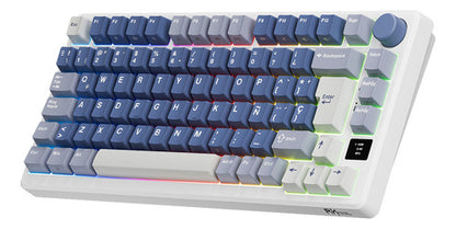 Teclado Mecánico Rk Royal Kludge Hot Swap Español